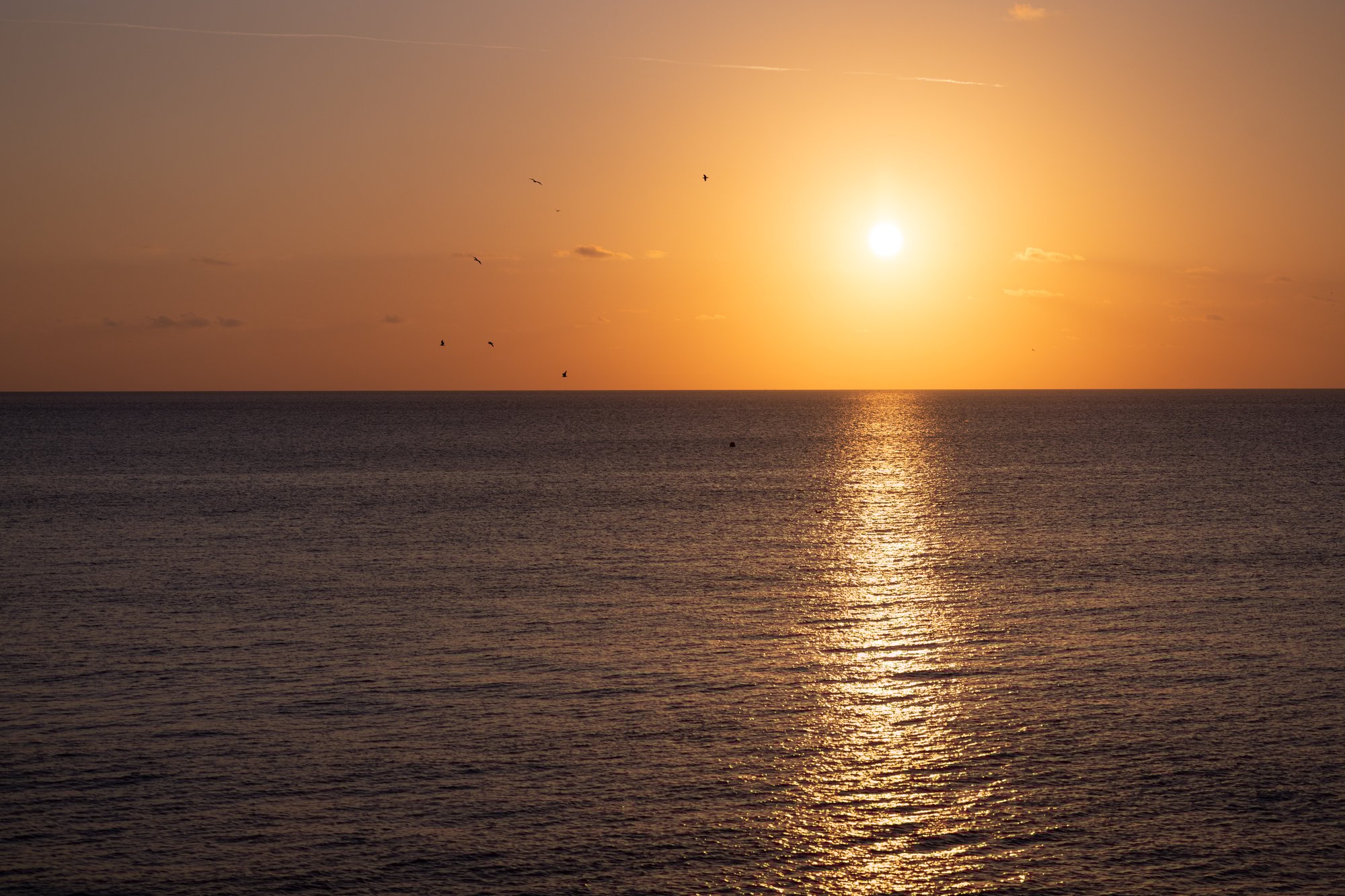 BEAU VIVA - Lifestyle - Shot 73 BEAU VIVA - Lifestyle - Shot 73